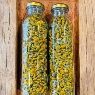 (DATE MỚI ) Cúc cổ trà Karose