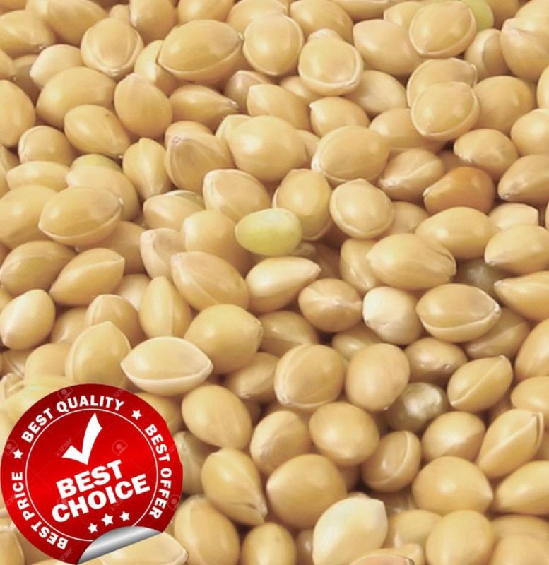 2KG HẠT KÊ TRẮNG CHO CHIM CẢNH CU GÁY YẾN PHỤNG