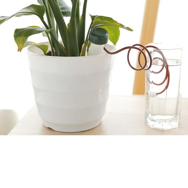 Combo 2 dụng cụ tưới cây tự động