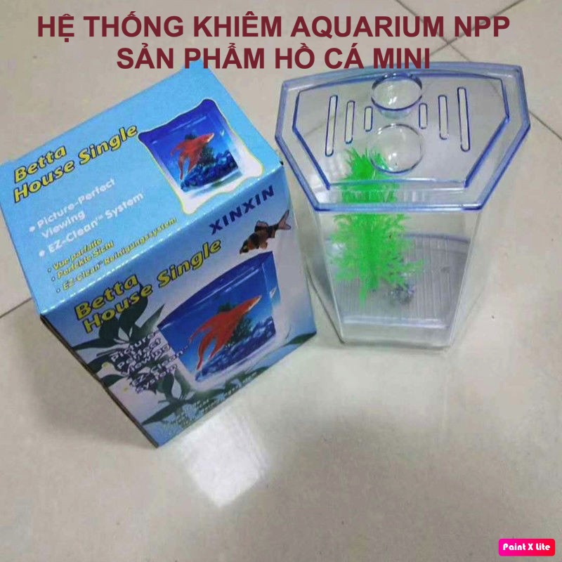 Bể cá betta mini 2 ngăn bằng nhựa - Hồ cá mini cho văn phòng