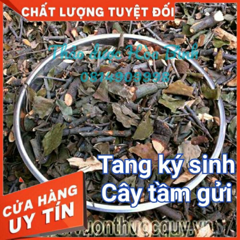 [Shop Mới] Tang ký sinh, Tầm gửi ( cây khế, cây bưởi )