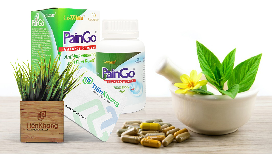 Paingo - Giảm đau nhức