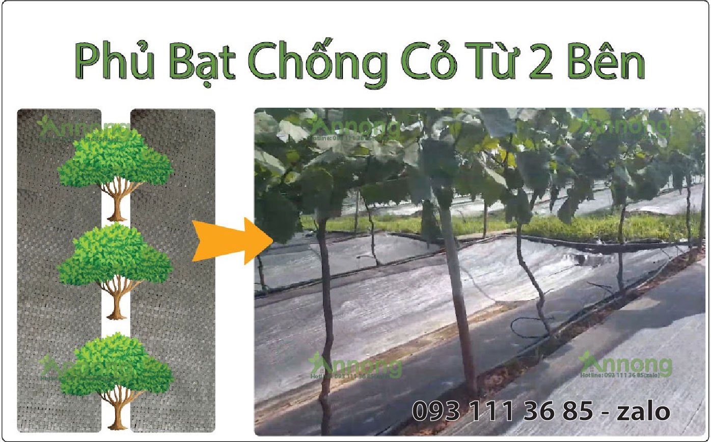 Bạt phủ luống chống cỏ 60cm x 30m dài 120g/m2 (kèm 30 ghim/tấm)