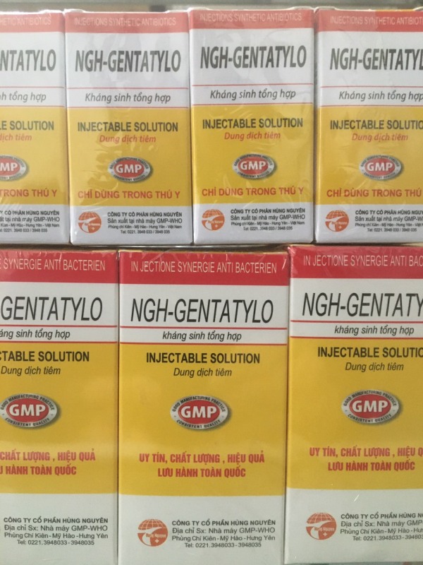 NGH - Gentatylo: Thuốc thú y - Kháng sinh tổng hợp