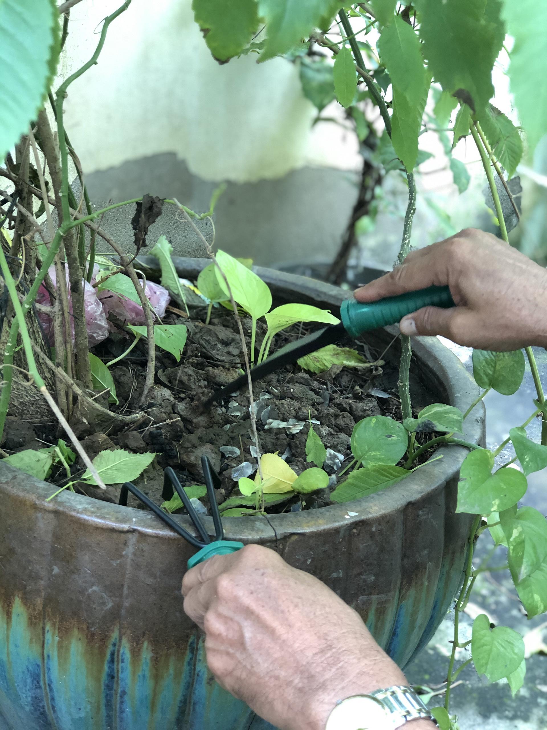 Bộ 5 món dụng cụ làm vườn