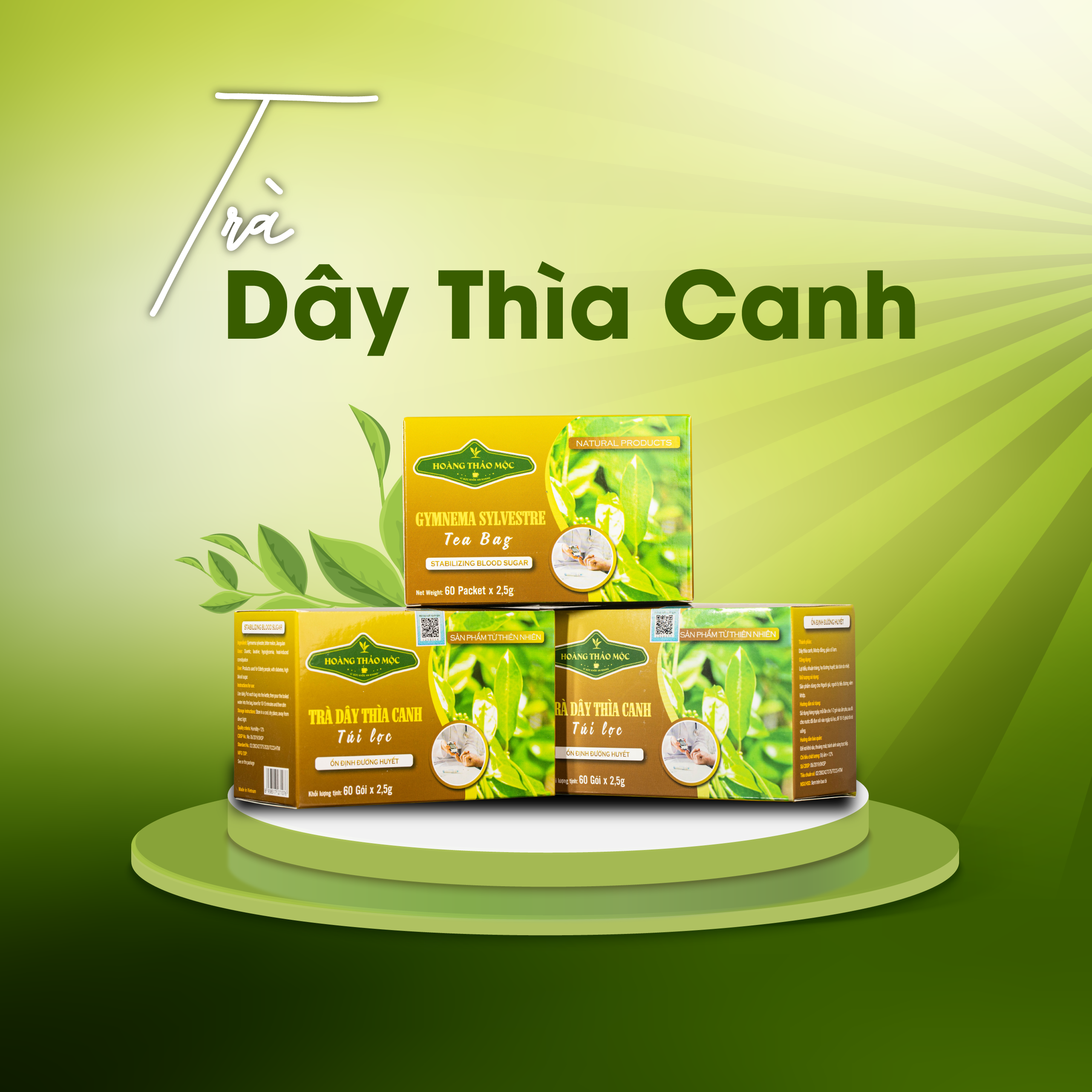 Trà Dây Thìa Canh túi lọc