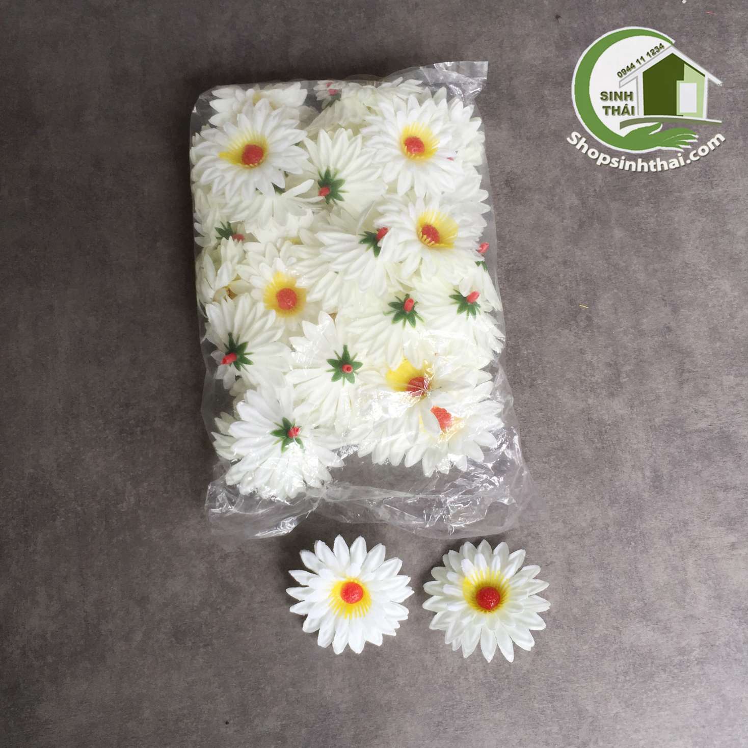 [HCM]Bịch hoa cúc trắng 25 bông