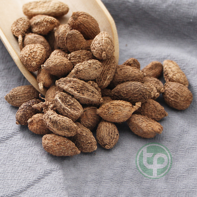 Quả sa nhân sấy khô 100g - Tấn phát - hỗ trợ cải thiện khả năng hô hấp cực kỳ hiệu quả