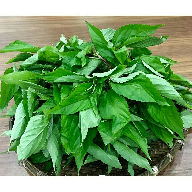 hạt giống rau đay đỏ và xanh
