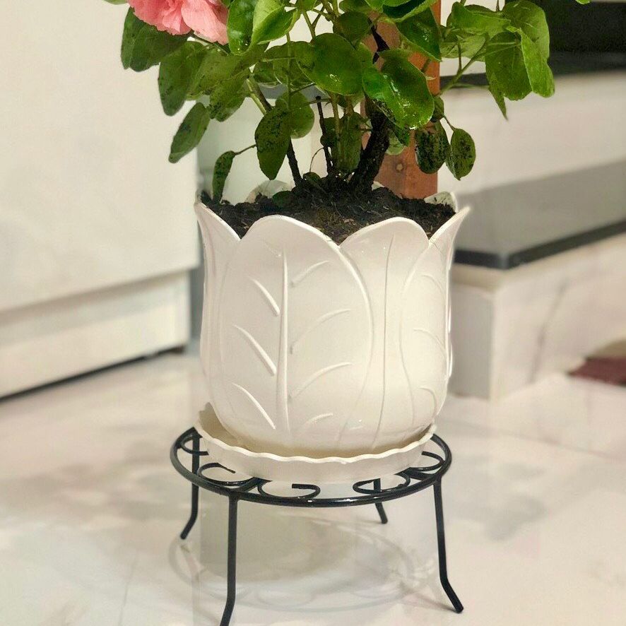 Combo 5 chân đế lùn kê chậu hoa decor sân vườn