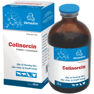 COLINORCIN - Trị tụ huyết trùng, thương hàn, E. coli thumbnail