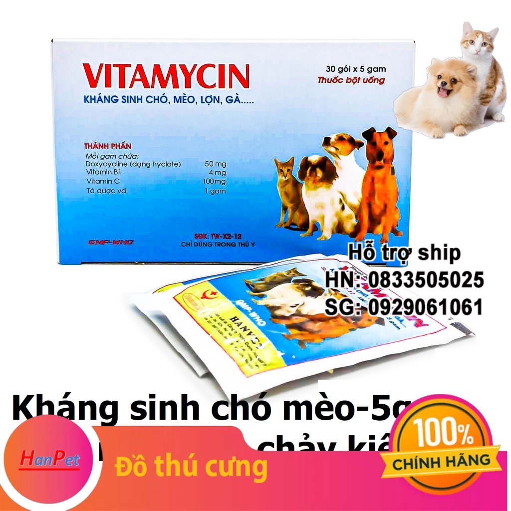 Hanpet - Kháng sinh đi kiết VITAMYCIN 5g dành cho chó mèo -
