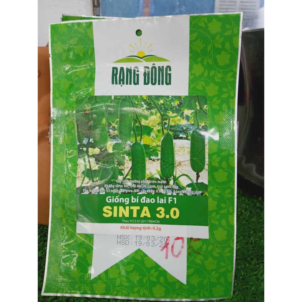 Hạt giống RĐ - Bí đao Sinta 3.0 -10k