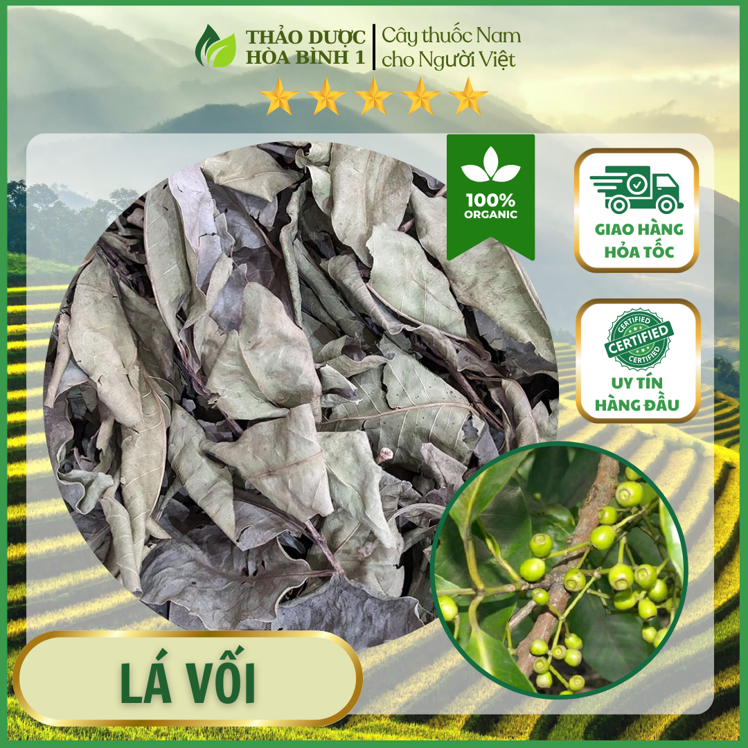 500GR LÁ VỐI KHÔ HÀNG MỚI THƠM NGON