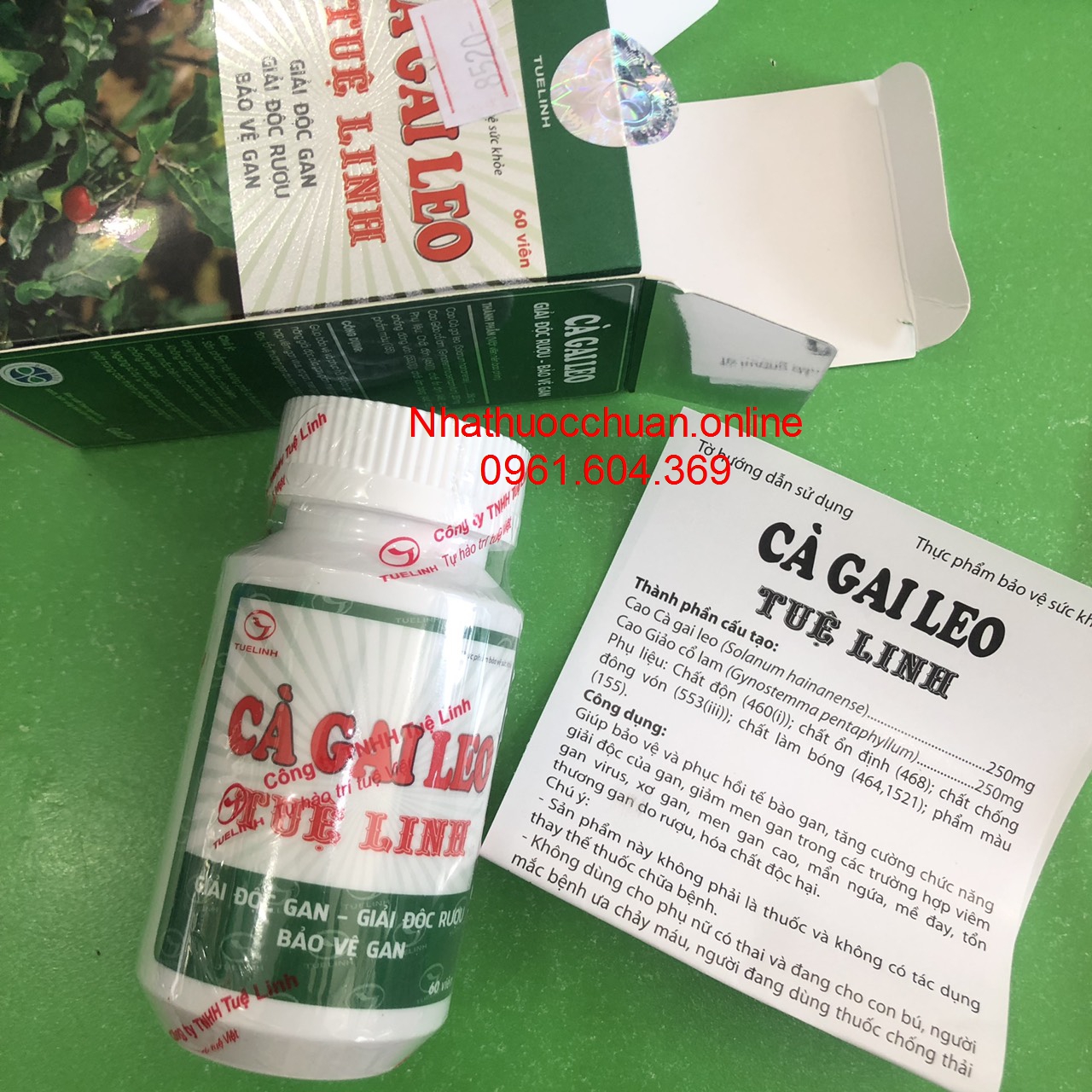 Cà gai leo Tuệ Linh ( Hộp 60 viên)