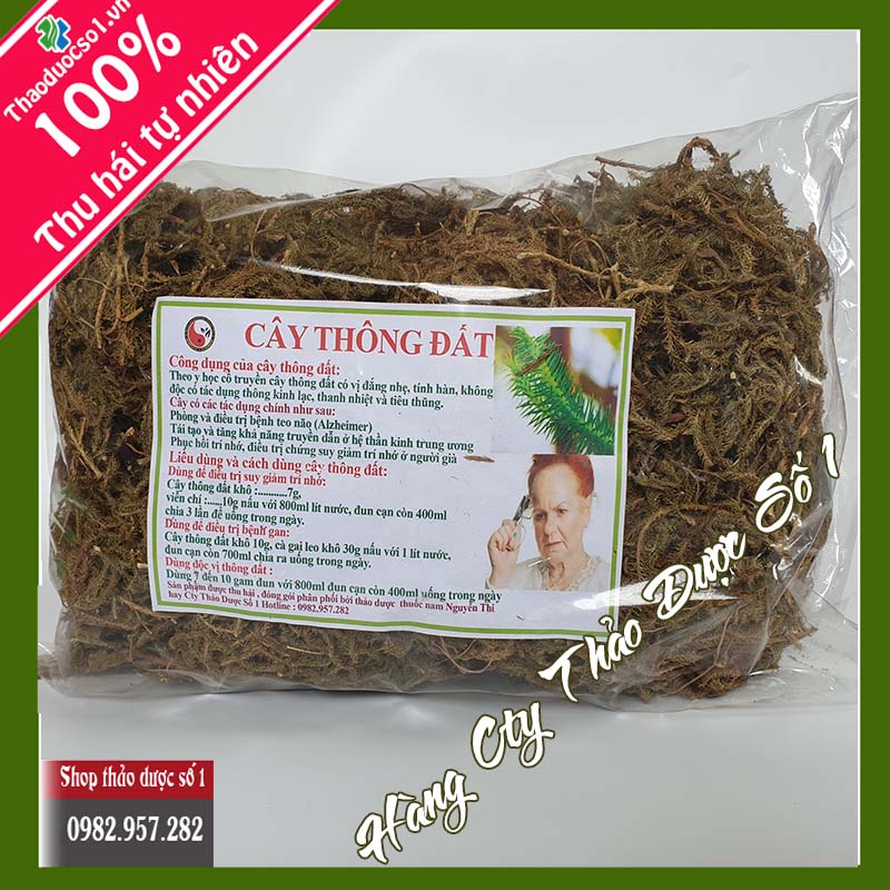 1kg cây thông đất SO1