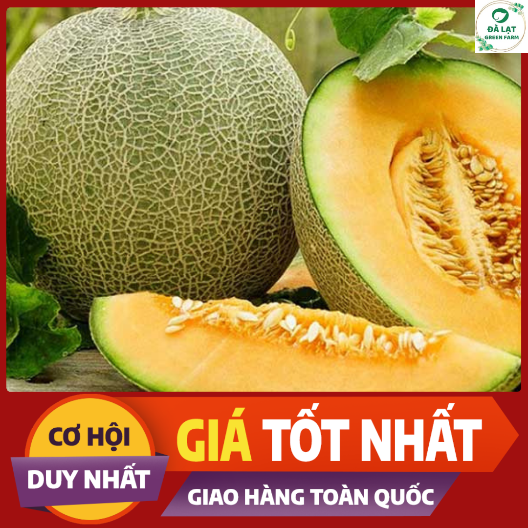 🍈20H_HẠT GIỐNG DƯA LƯỚI (DỄ TRỒNG)🍈