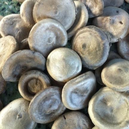 1kg hạt mã tiền