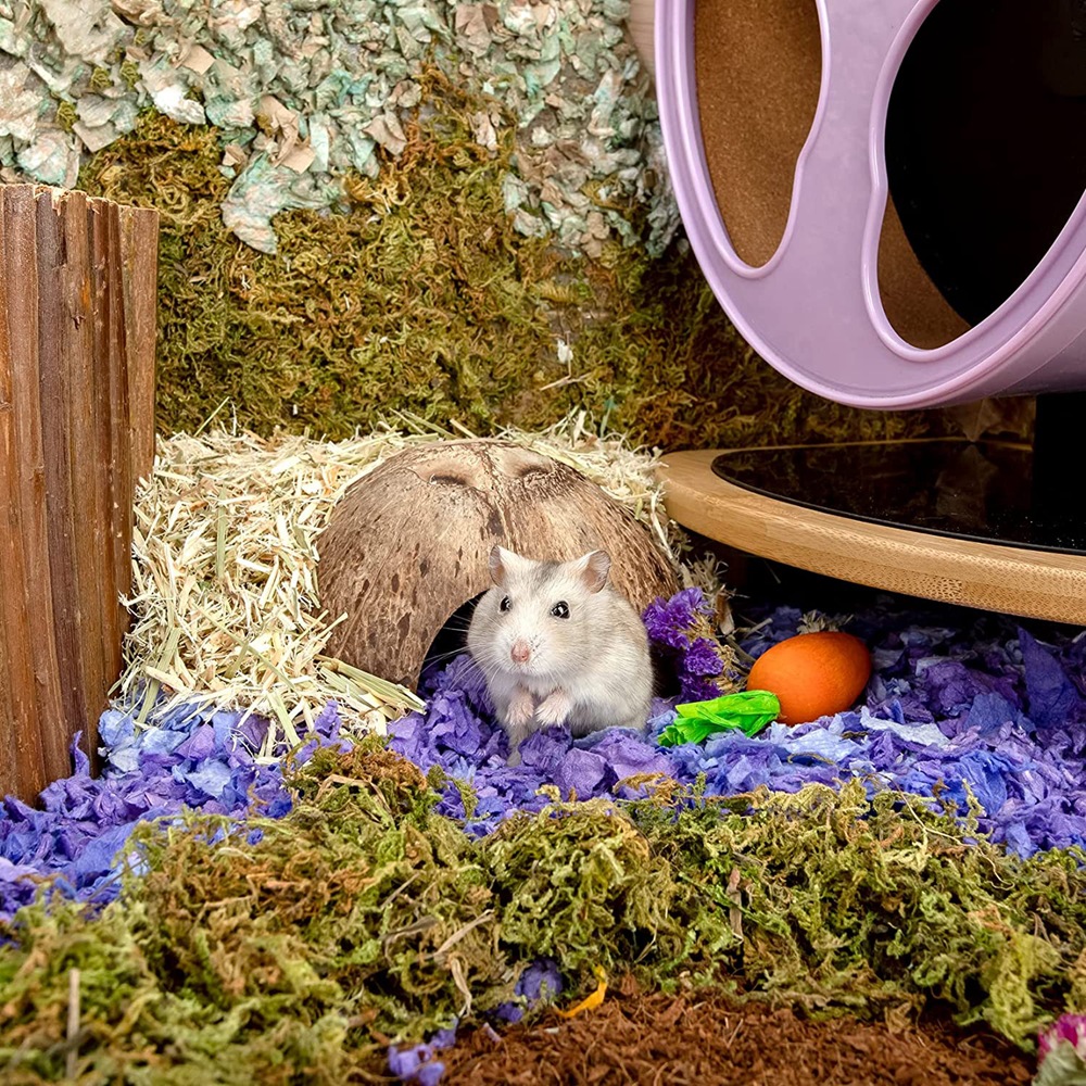 nhà gáo dừa cho hamster / chim / sóc / bò sát - T3 PETS SHOP