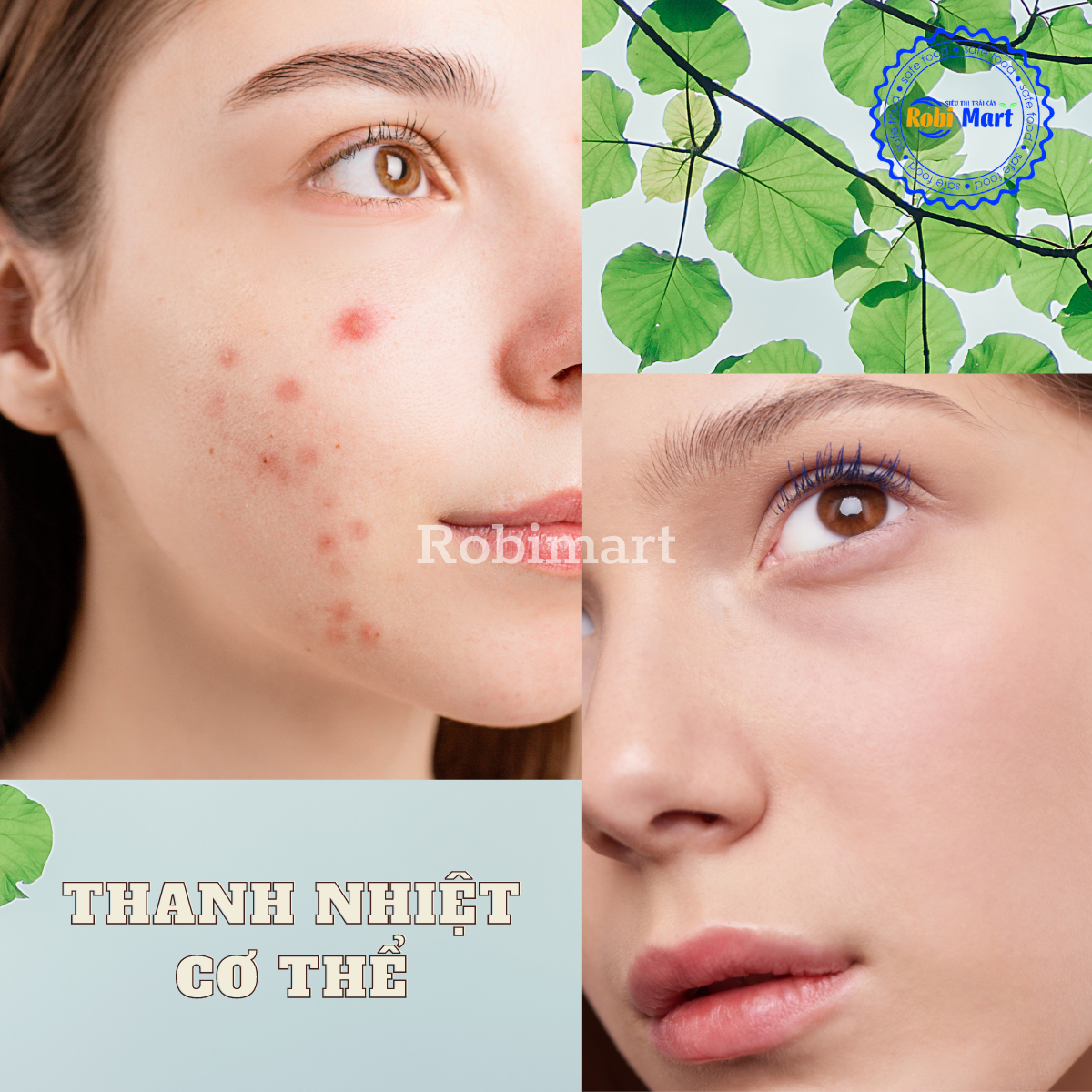 Trà mơ lạc thần 8 vị robimart thanh nhiệt, giúp tiêu hoá tốt