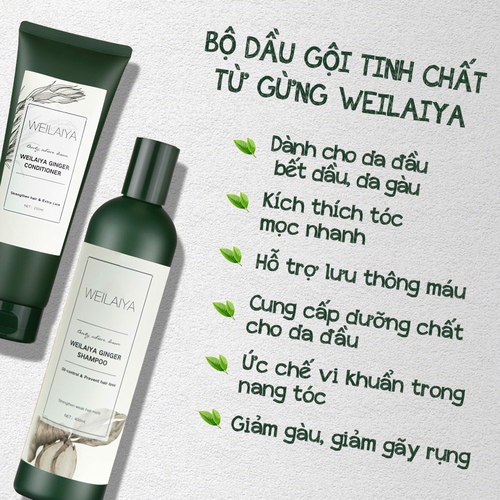 Cặp dầu gội xả gừng trắng kích mọc tóc Weilaiya Ginger (kèm set gội xả mini 14g)