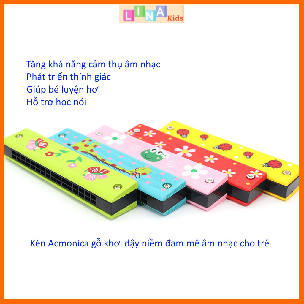 Kèn Acmonica gỗ, kèn gỗ, kèn Harmonica - Khơi dậy niềm đam mê âm nhạc cho trẻ