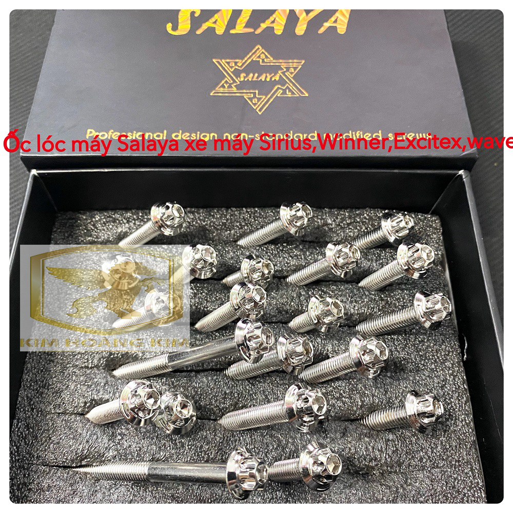 Salaya Bộ ốc lốc máy Inox 304 gắn xe máy,Winner,Exciter,Sirius,Sonic,Wave,Dream,Vario,Future 125,Raider Satria....