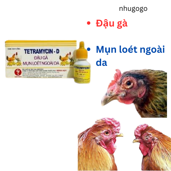 Combo 2 lọ* 10ml Tetramycin đậu gà