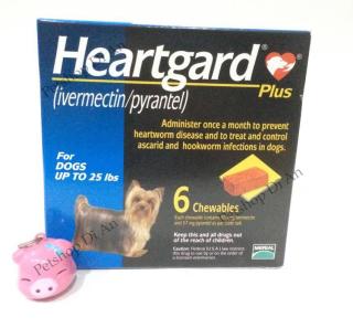 Hộp 06 viên nhai Heartgard Plus phòng & trị giun tim, giun đũa thumbnail