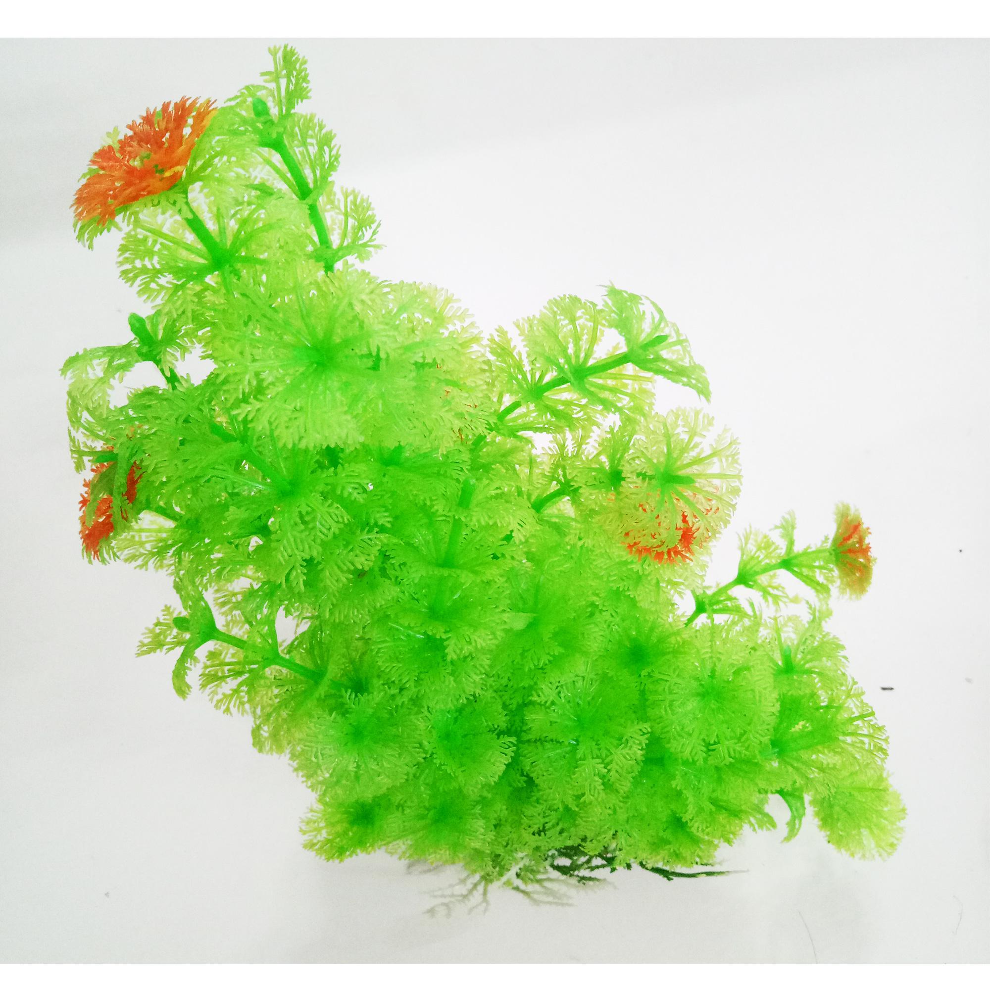 Bộ 4 Cây Trang Trí Bể Cá Size Đại (Khoảng 25cm x 17cm Mỗi Cây) - Đồ Trang Trí Hồ Cá