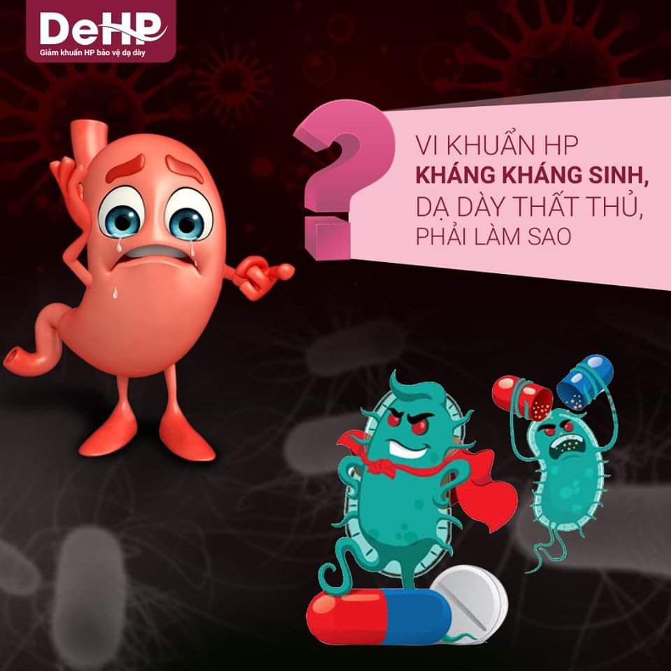 [HCM]Da day HP+kt cao cấp blook