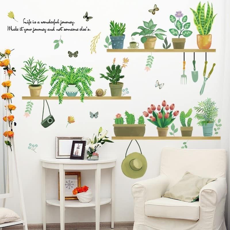 Decal dán tường, tranh dán tường chậu cây xanh trên kệ