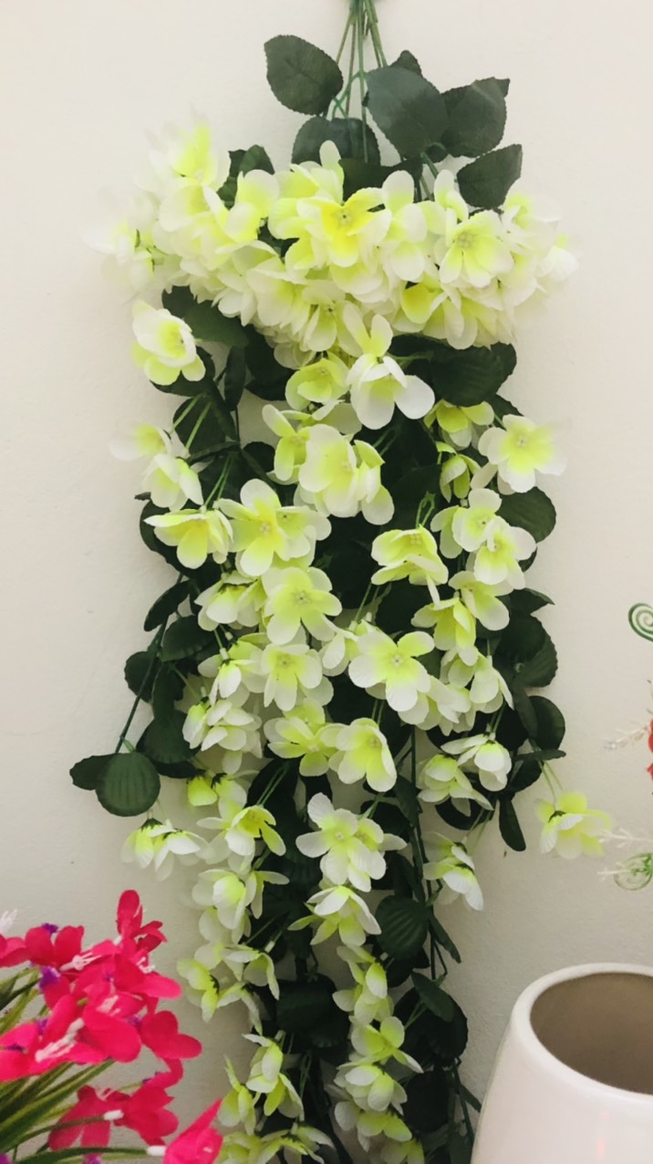 Chùm hoa rủ  treo tường cực đẹp
