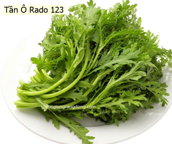 Hạt giống rau tần ô Gói 20 gram