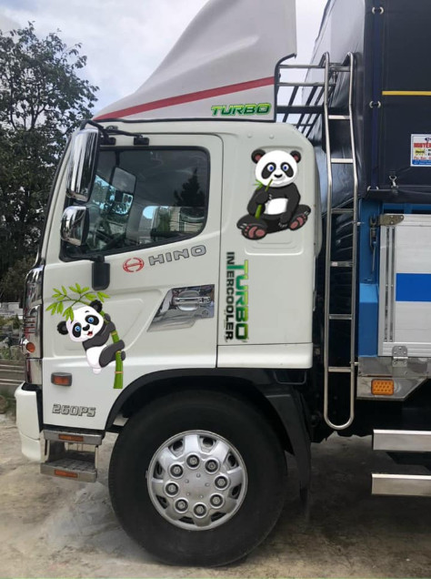 [HCM]Tem xe tải xe hơi mẫu gấu trúc - Decal xe độc lạ