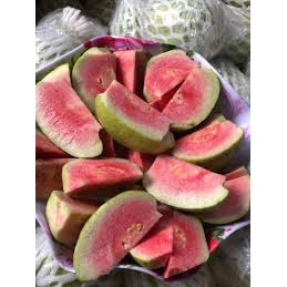 Ổi RuBy - SHU Farm