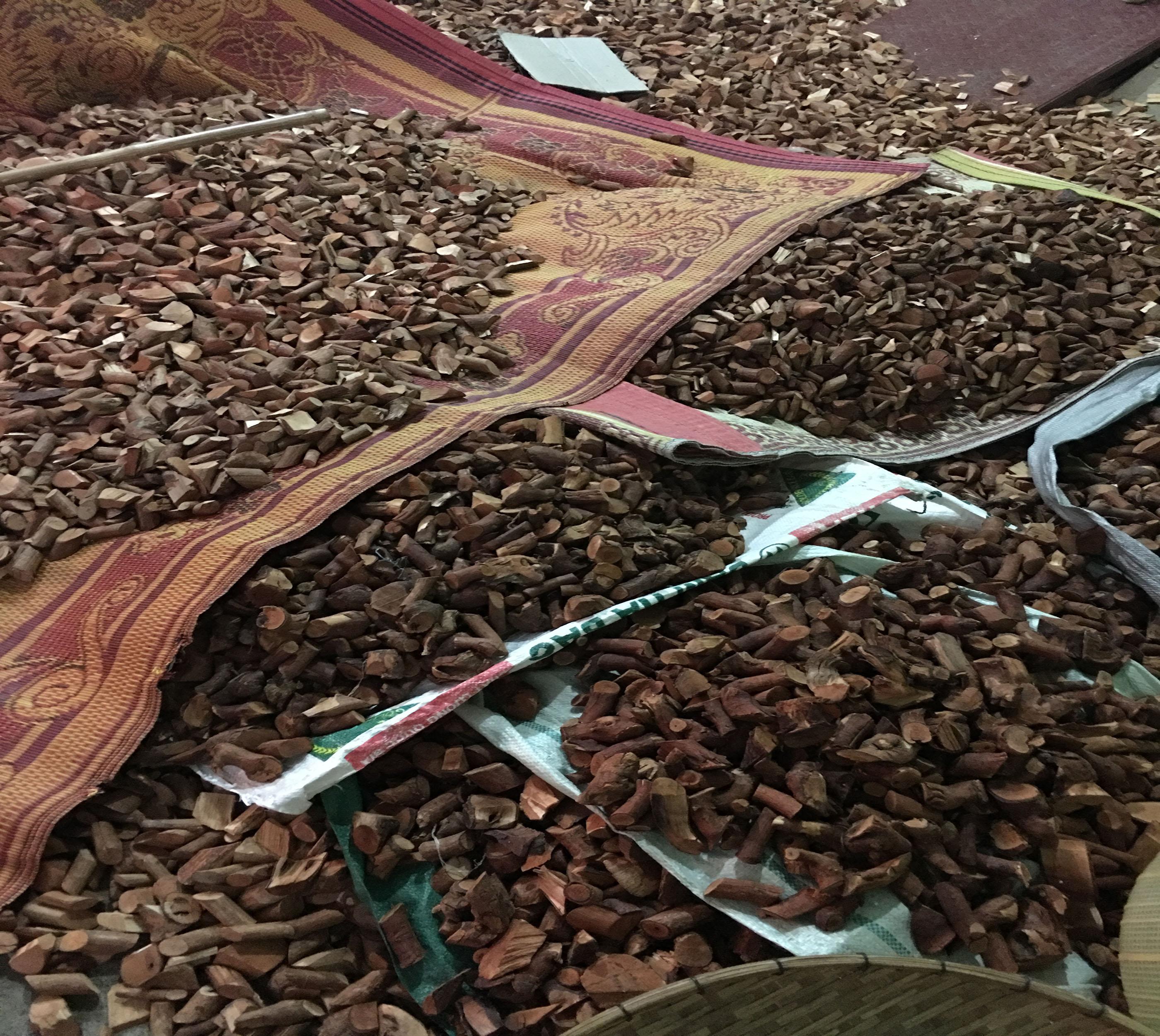 Cây Mú Từn 1kg
