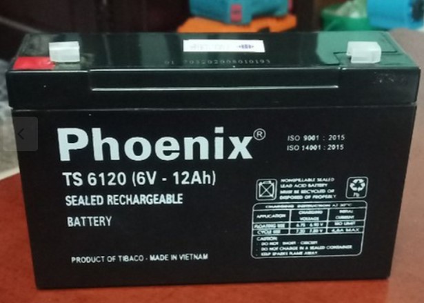 Ắc quy lưu điện Phoenix 6V - 12Ah TS6120