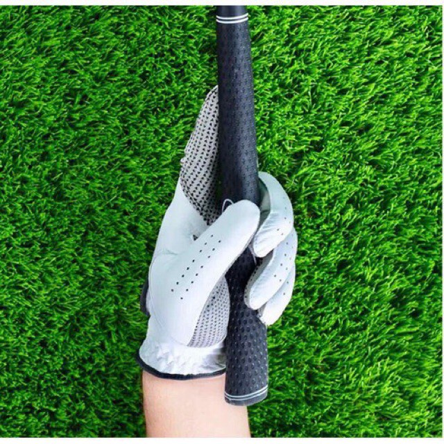 Găng tay golf, Bao tay golf [ GOLF BÁN SỈ ]