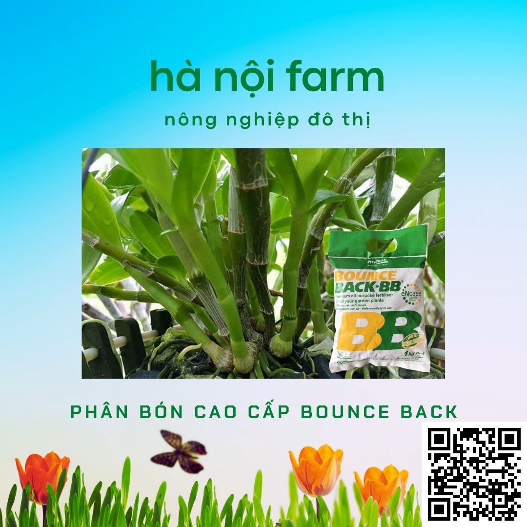 Phân hữu cơ BB, Phân gà úc ( Bounce back ) Australia. Gói 1kg