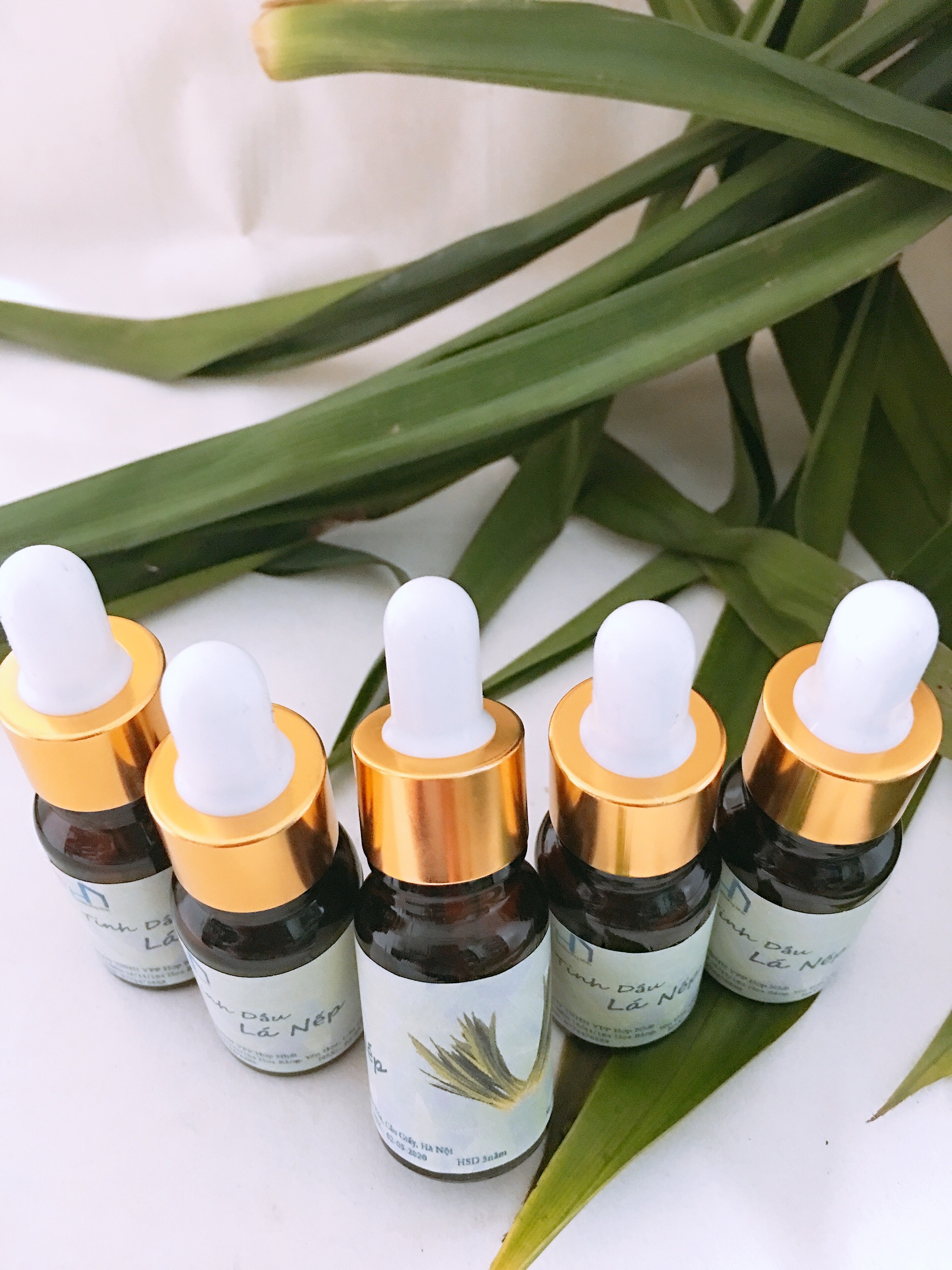Combo 02 Lọ tinh dầu lá Nếp 10ml