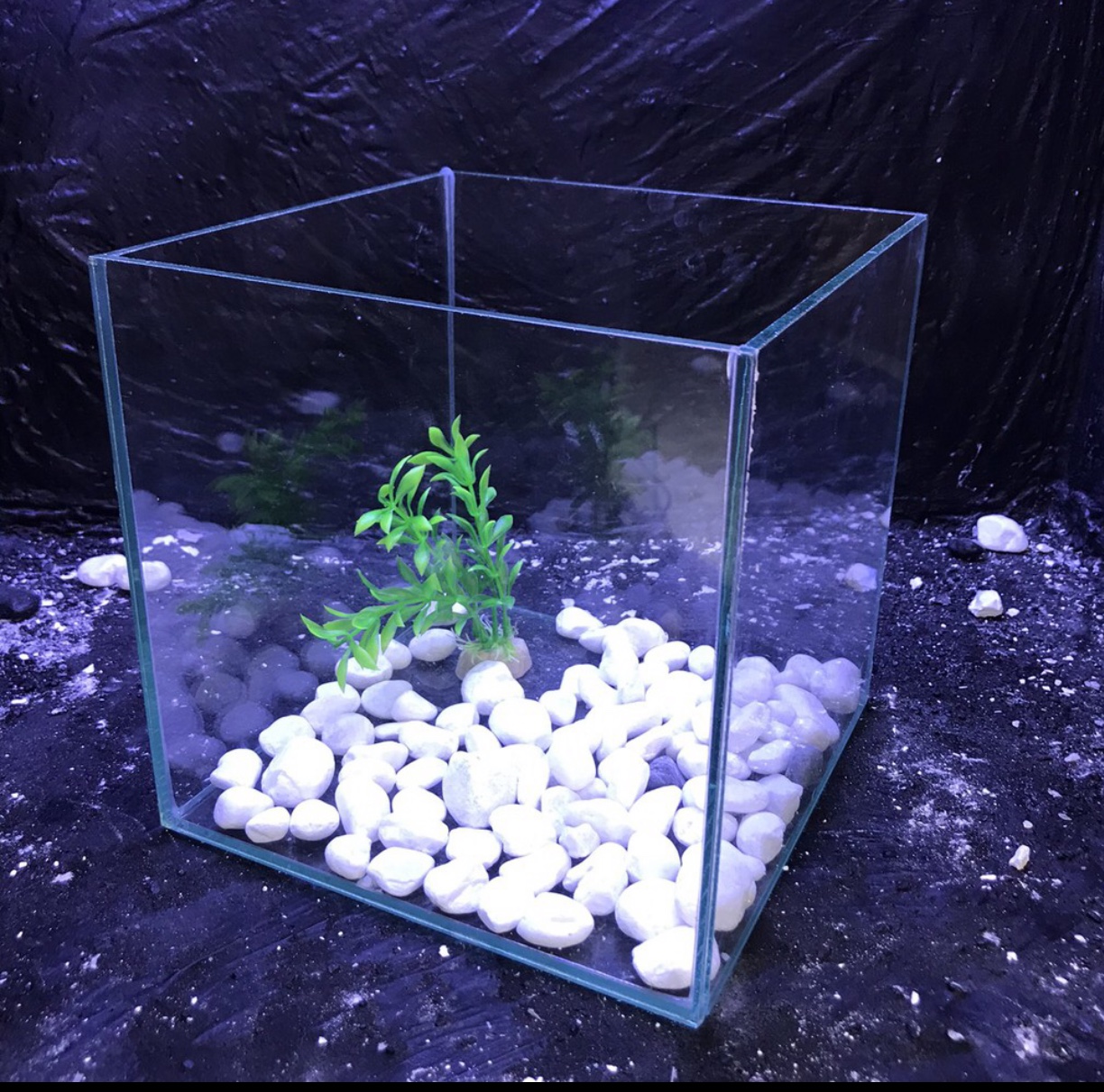 bể cá rubic 20x20x20