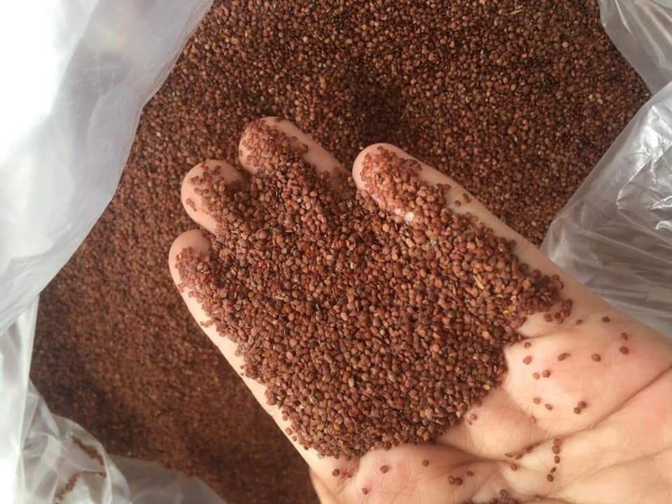 Nạ ngũ hoa đấp mặt 100g