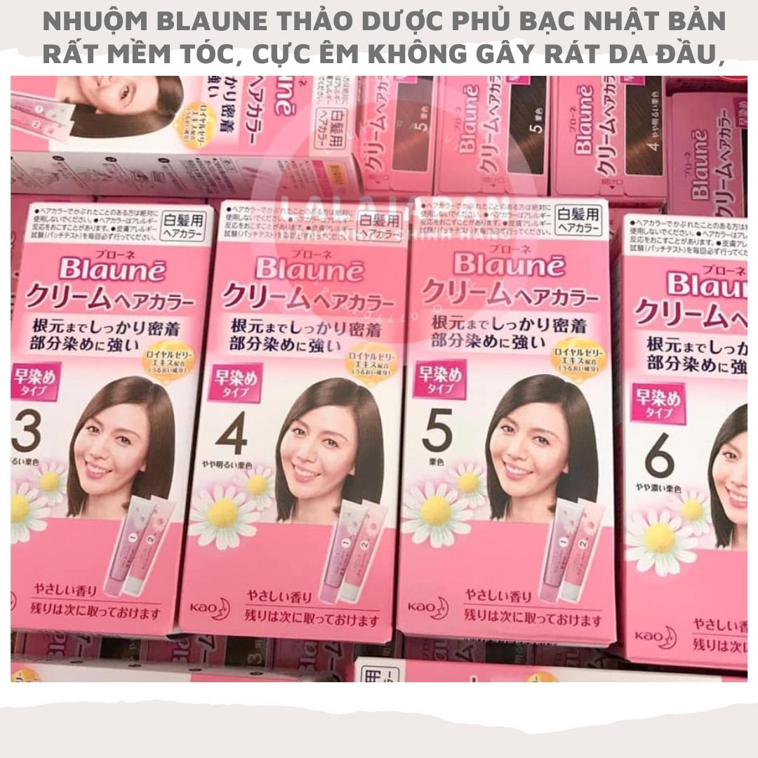 [HCM]Thuốc nhuộm phủ bạc thảo dược Blaune Nhật Bản