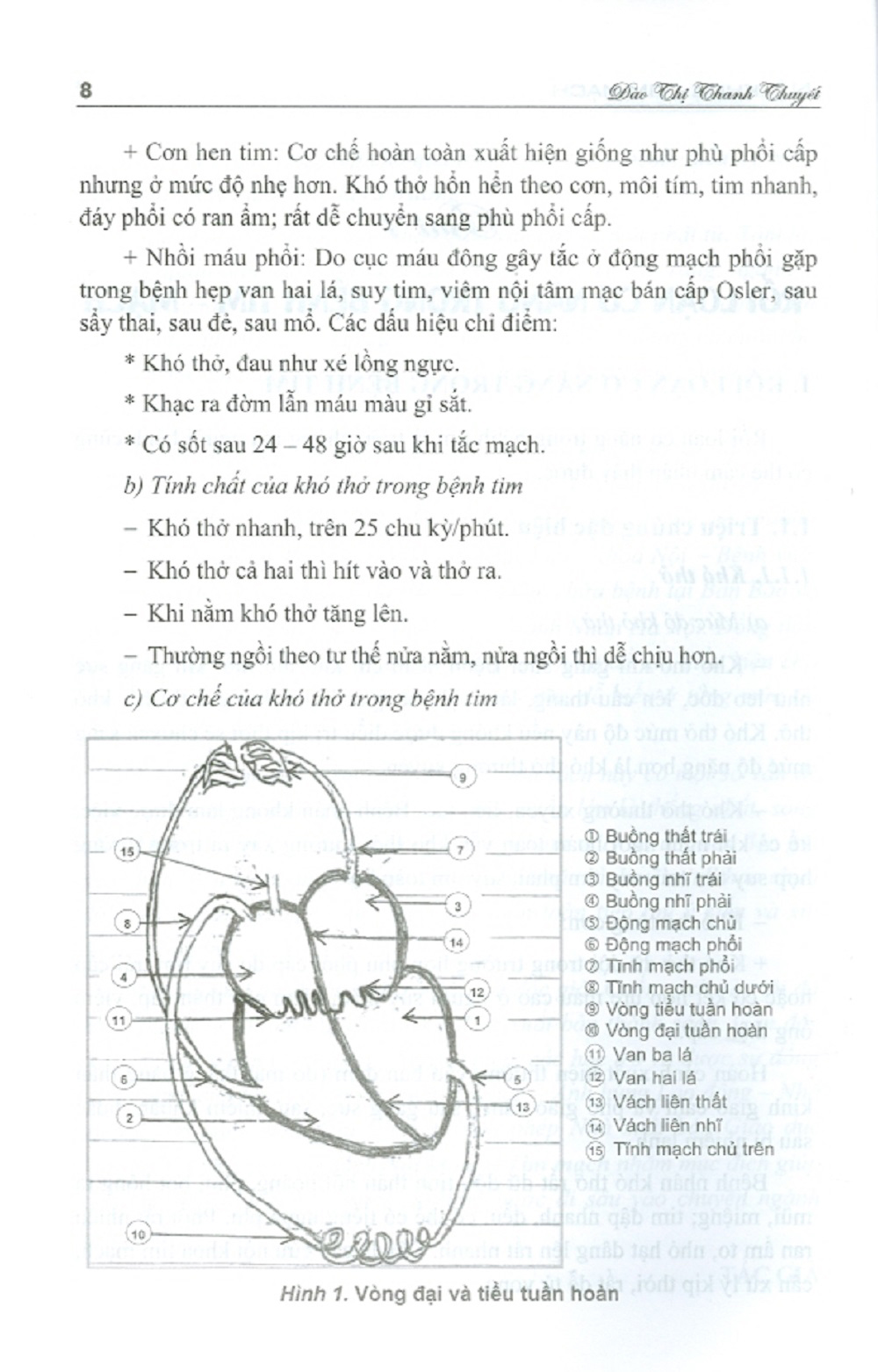 Nội Khoa - Tim Mạch