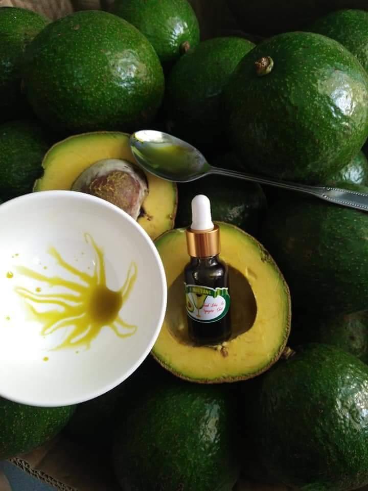 Tinh dầu bơ nguyên chất (lọ 20 ml)