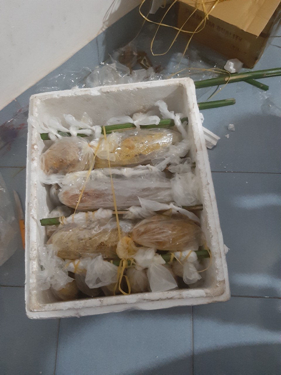 mật ong ruồi nguyên tổ ( r.ừng nguyên sinh Tây Nguyên )