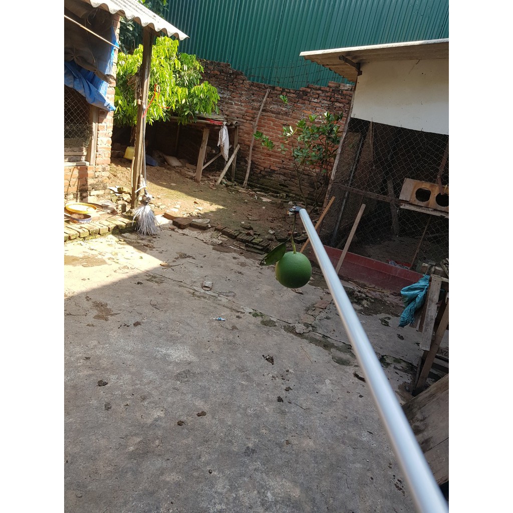 Kéo cắt cành hái quả