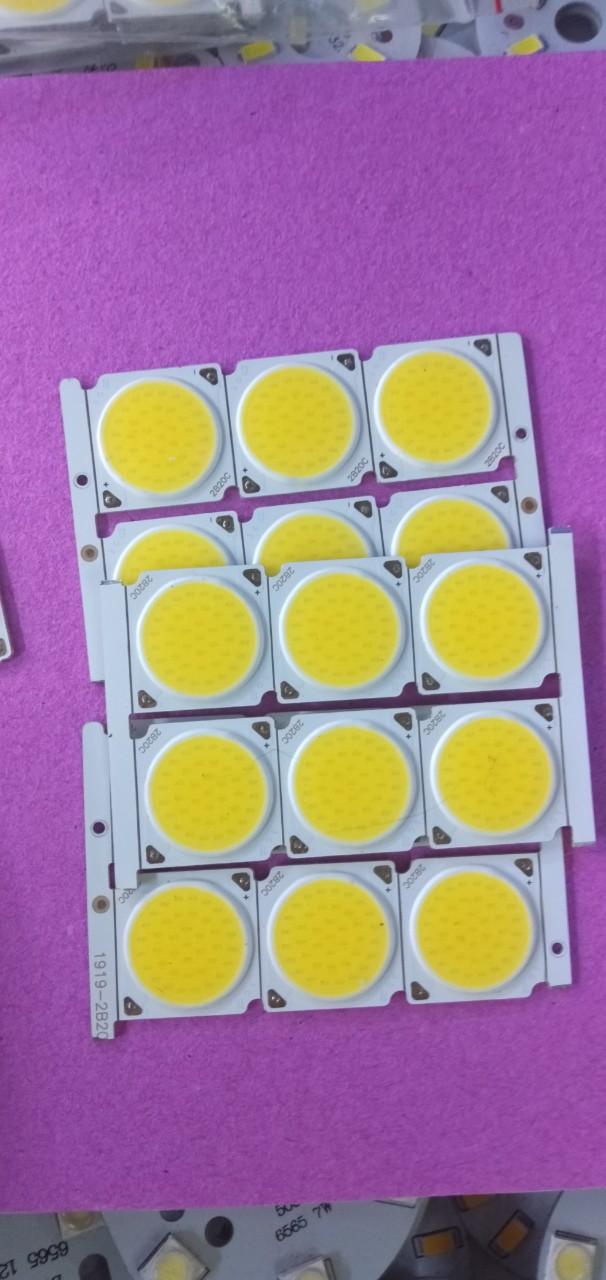 Mắt led cob 20w