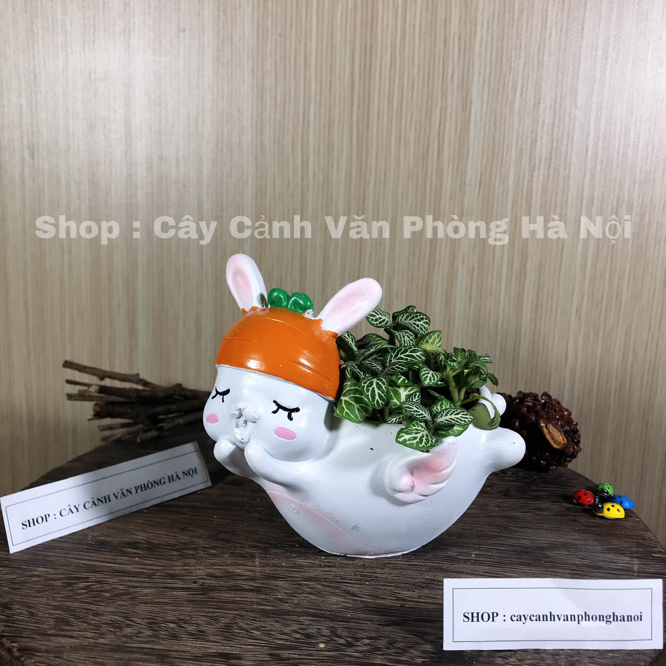 chậu trồng cây hình thỏ trắng có cánh [ tặng kèm đất trồng cây ]